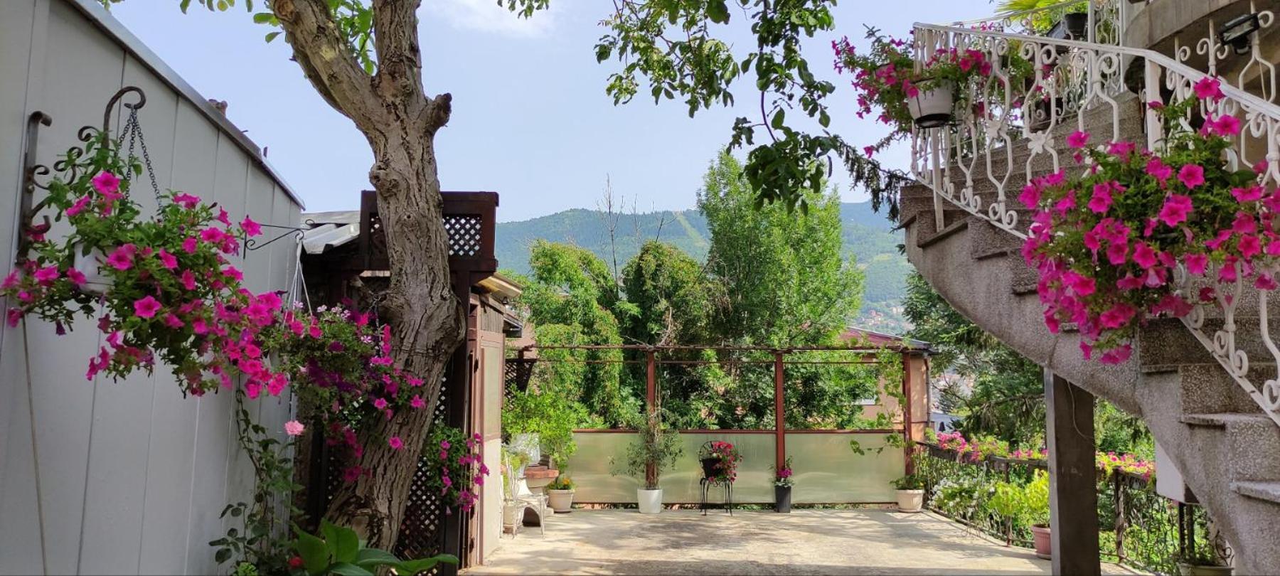 Vila Dzan Sarajevo Ngoại thất bức ảnh