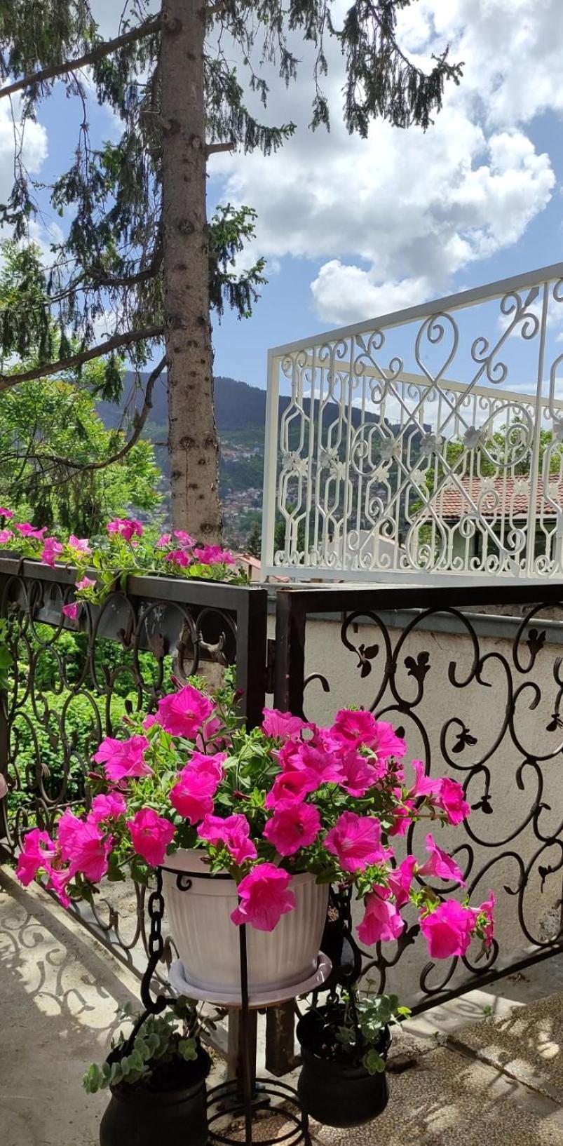 Vila Dzan Sarajevo Ngoại thất bức ảnh